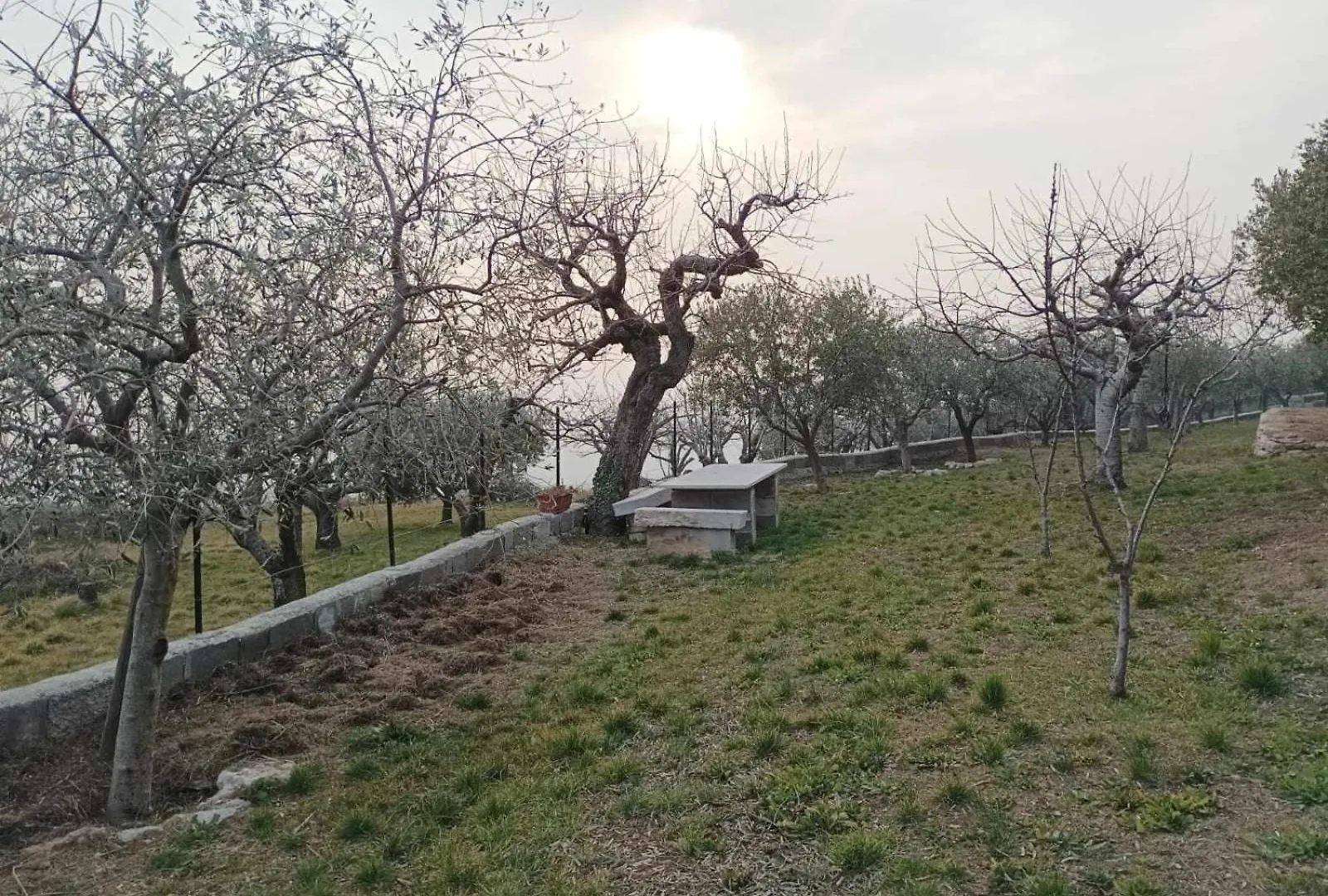 Dimora Montelago Apartment Gino Giardino, Ac, SantʼAmbrogio di Valpolicella 0*,  Italia
