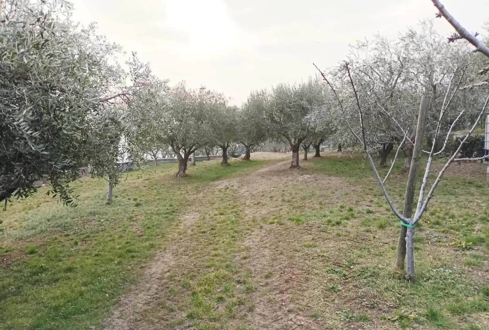 Dimora Montelago Apartment Gino Giardino, Ac, SantʼAmbrogio di Valpolicella